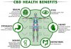 cbd Benefits.jpg